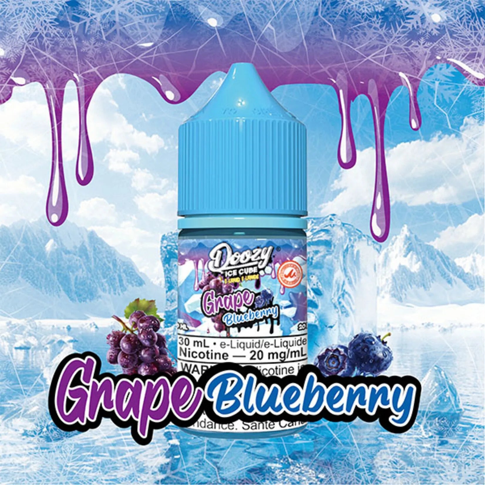 Grape Blueberry Salt Nic